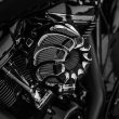 HDBUBALUS-Touring Air Filter-AF006904